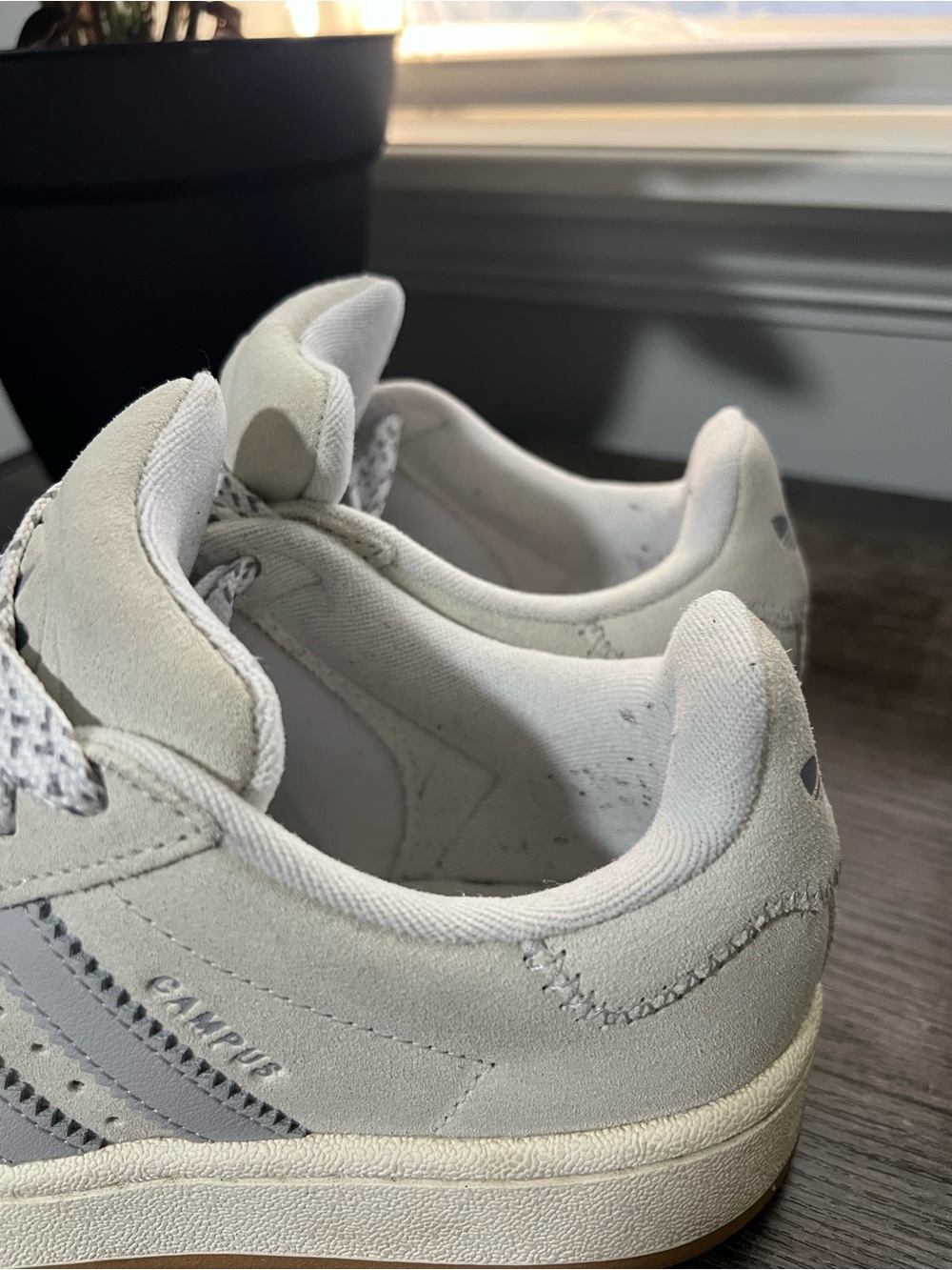 Adidas Campus Sz6 - Picture 5 of 6